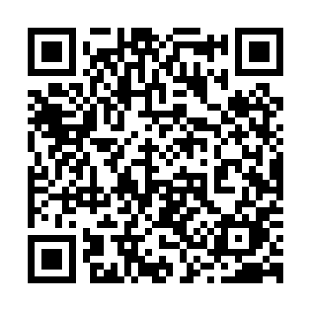 QR code for 234PPM