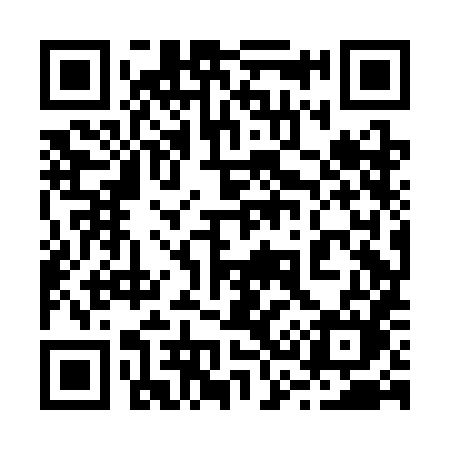 QR code for 238CHM