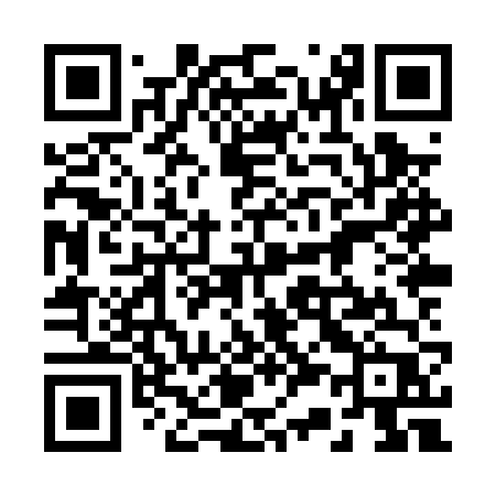 QR code for 238PVP