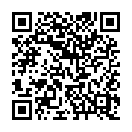 QR code for 241YEX