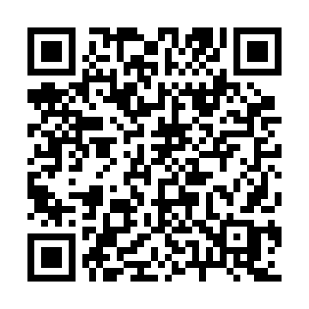 QR code for 250BDB