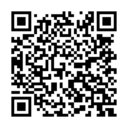 QR code for 250LVL