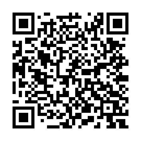 QR code for 250TTS
