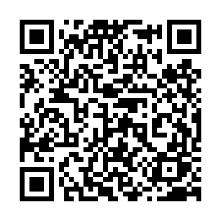 QR code for 251DVP