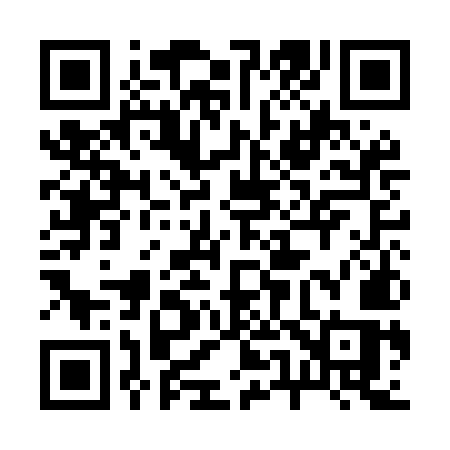 QR code for 251MMS