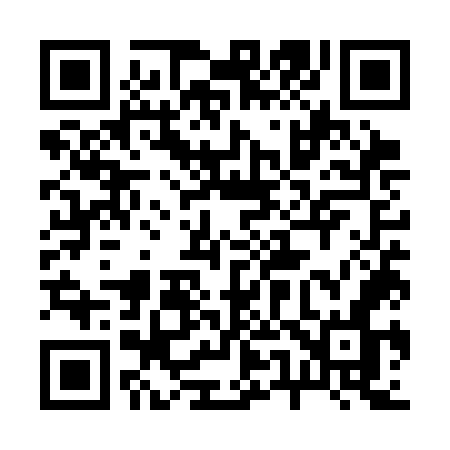 QR code for 255SON