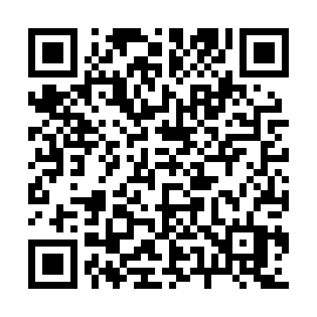 QR code for 256LPT
