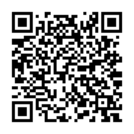 QR code for 256UAP