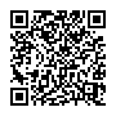 QR code for 256VIS