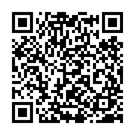 QR code for 289DMS