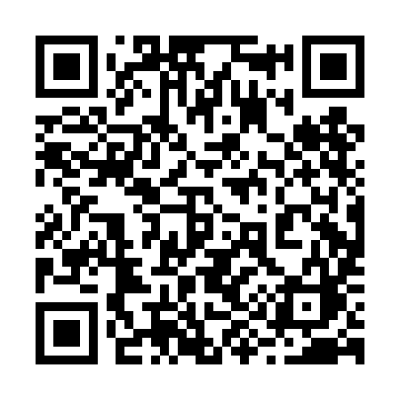 QR code for 290DIC