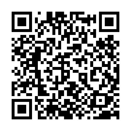 QR code for 290DIY