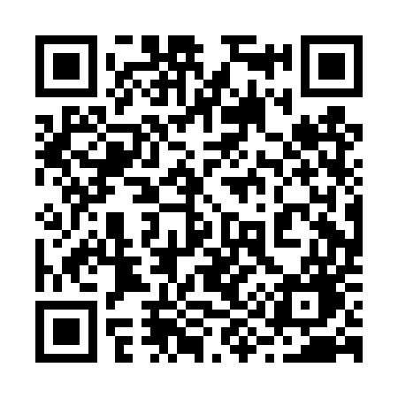 QR code for 290DUG