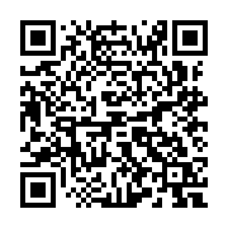 QR code for 290ICS