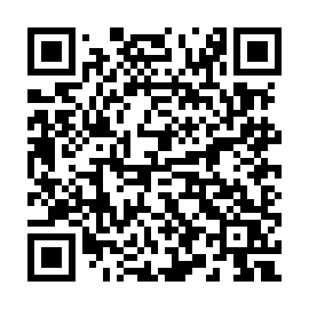 QR code for 290MHS