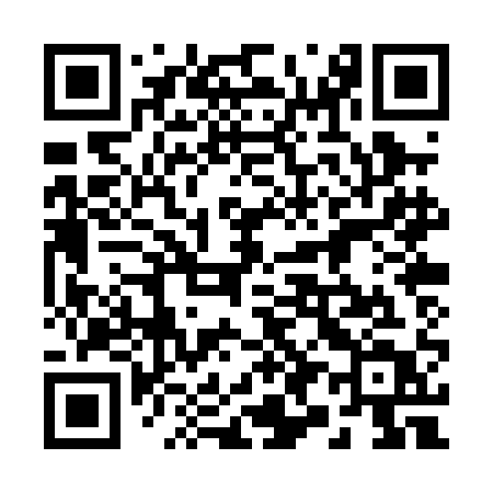 QR code for 290PAT
