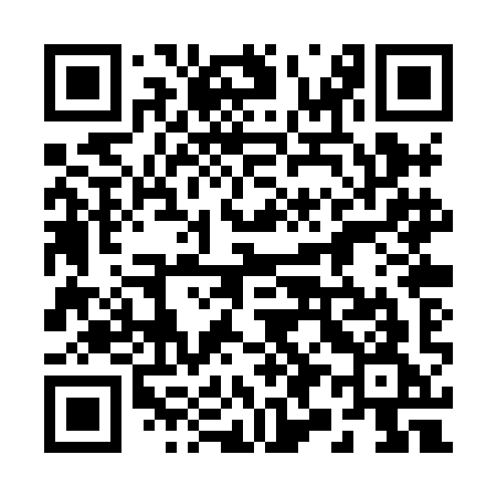 QR code for 290XIG
