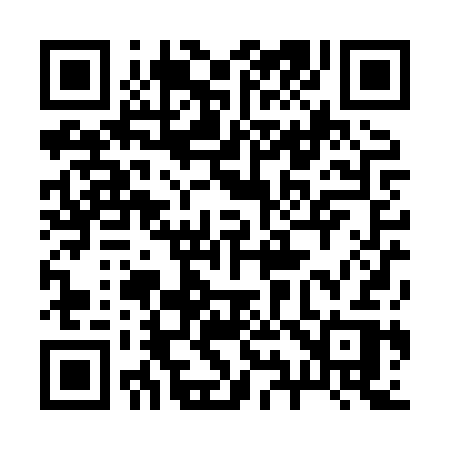 QR code for 290XSR