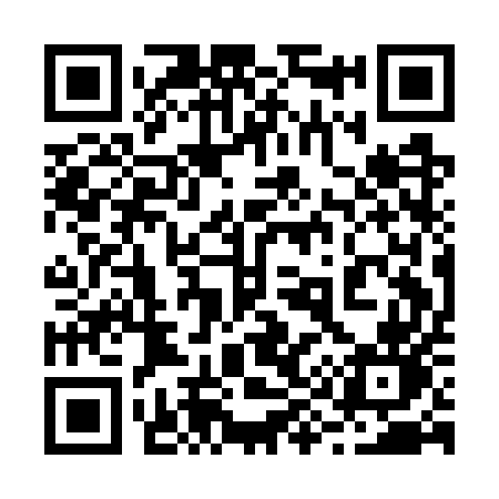 QR code for 291GUN
