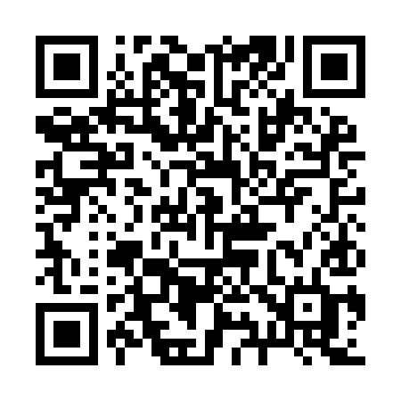 QR code for 291IID