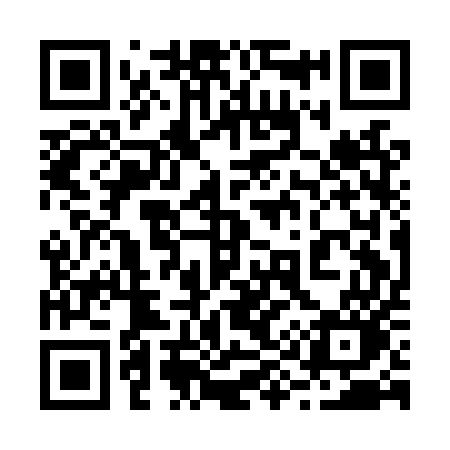 QR code for 291LUO