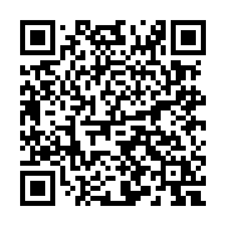 QR code for 291MAX