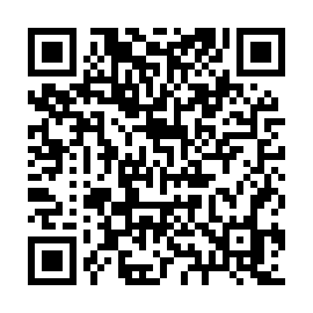 QR code for 291MVO