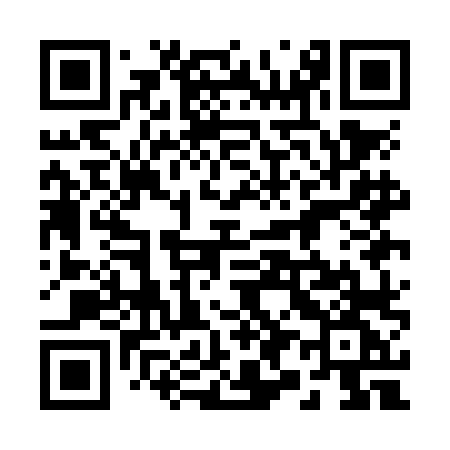 QR code for 291NLG