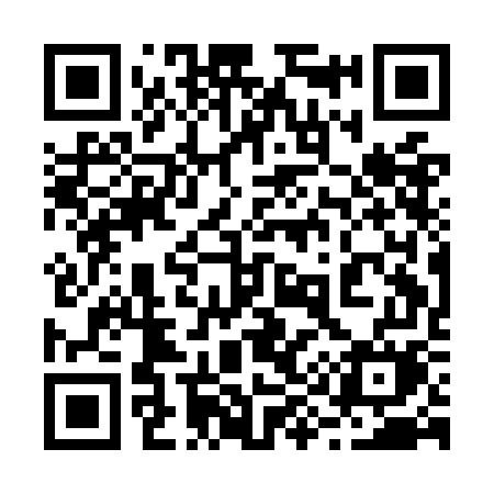 QR code for 291OGM