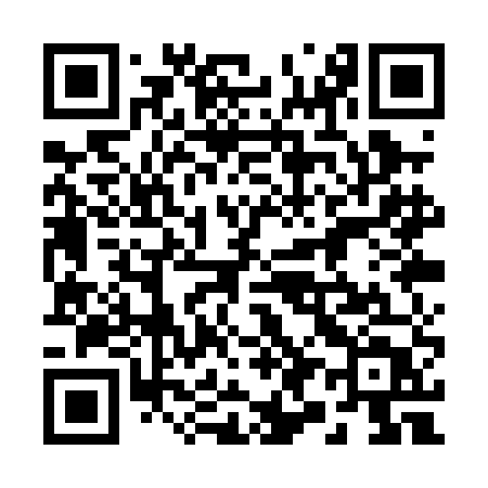 QR code for 291PET