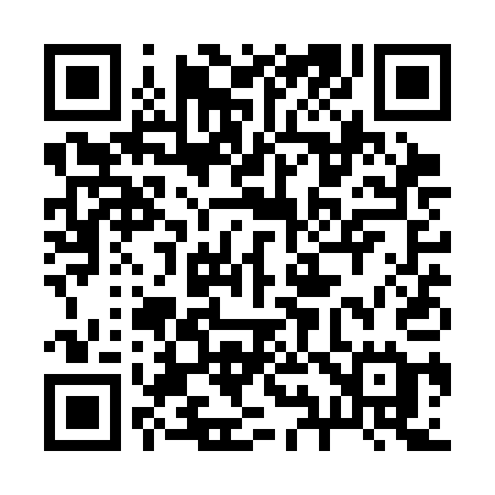 QR code for 291SAE
