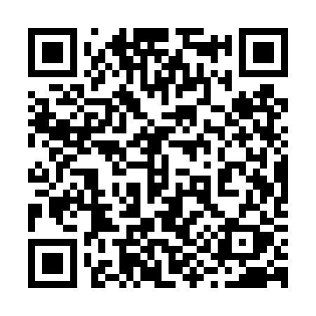 QR code for 291TRY