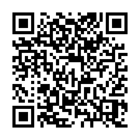 QR code for 291UQR