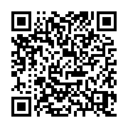 QR code for 291XXP