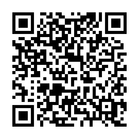 QR code for 291XYD
