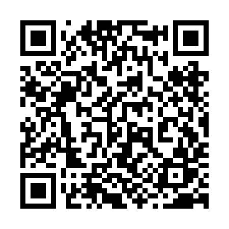 QR code for 293BIR