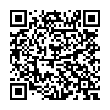 QR code for 293LPI
