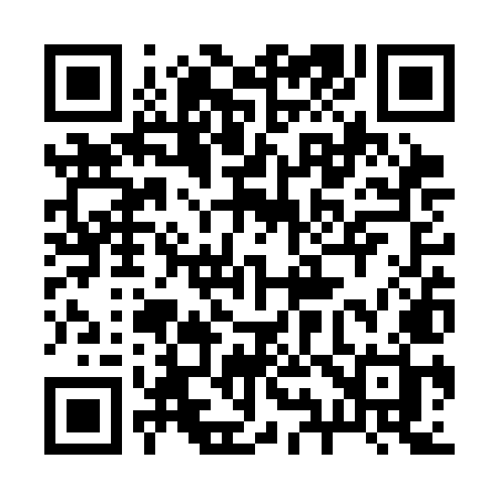 QR code for 293SMH