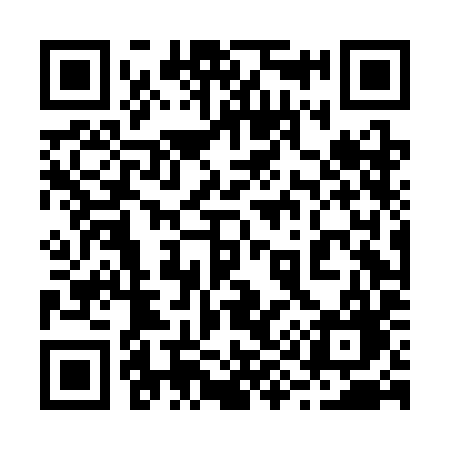 QR code for 294CIG