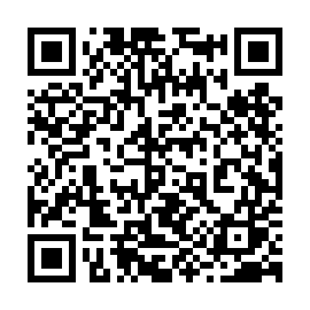 QR code for 294DES