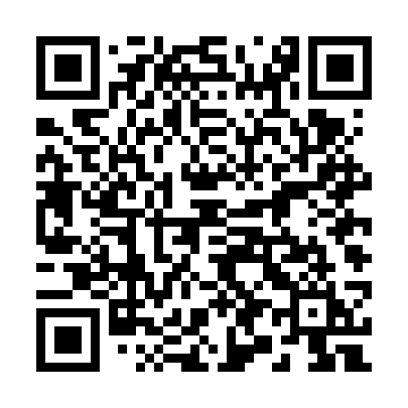 QR code for 294FSI