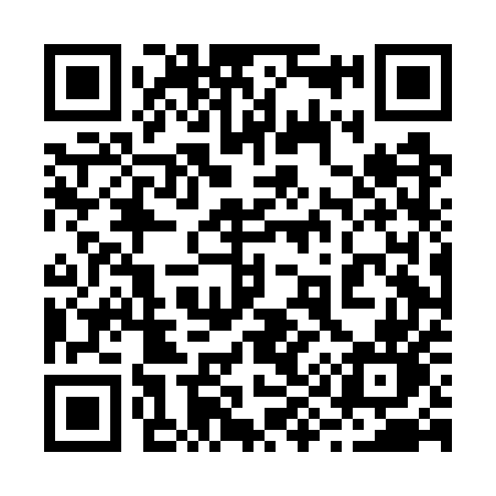 QR code for 294GUN