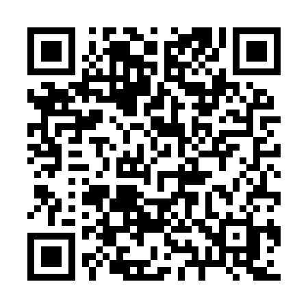 QR code for 294ISH