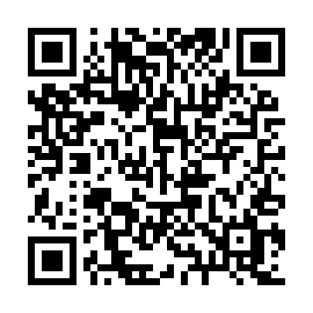 QR code for 294IUL