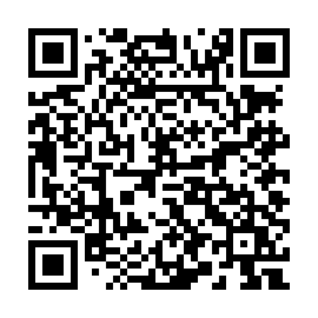QR code for 294LDU