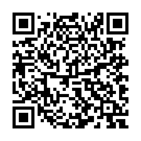 QR code for 294MIA