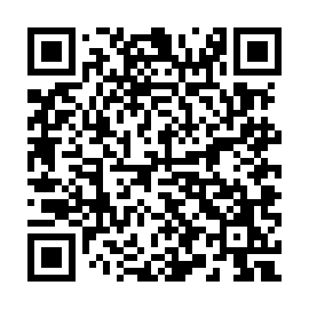 QR code for 294MMO