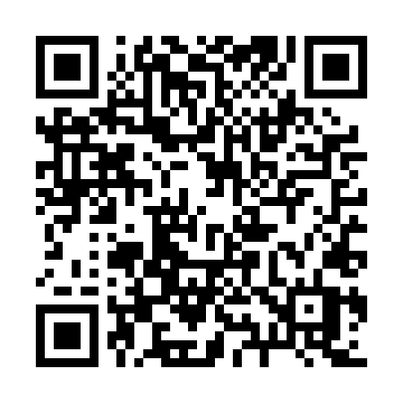 QR code for 294PLT