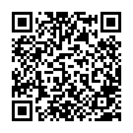 QR code for 294PLV
