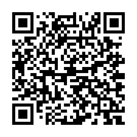 QR code for 294PMA